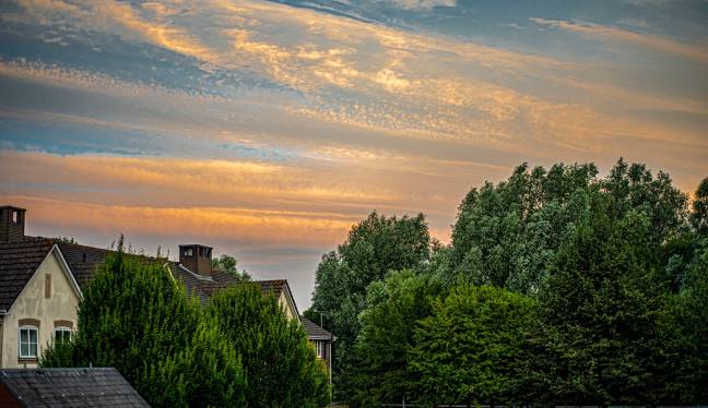 Executive airport transfer in Westbury