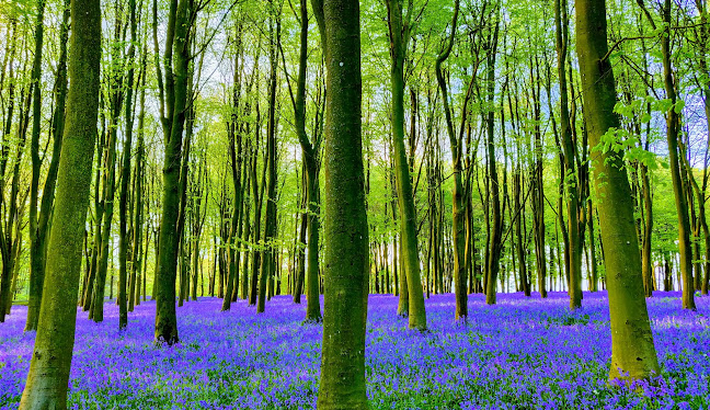 Airport Transfer Lechlade on Thames